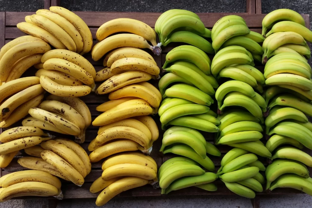 Diet for a Healthy Gut