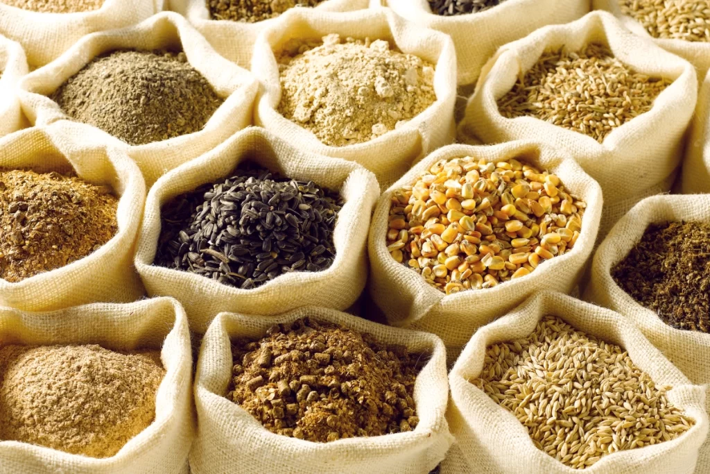 Diet for a Healthy Gut