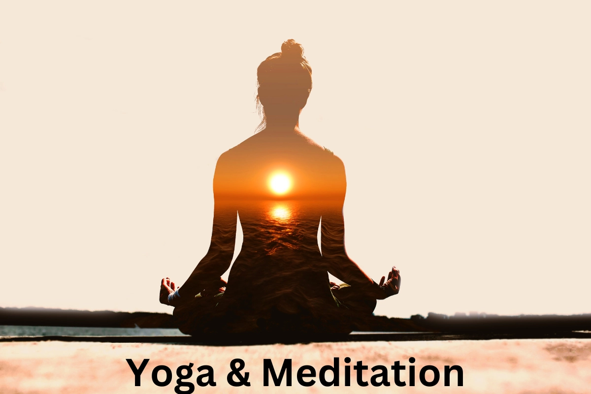 Wellness Lifestyle Ultimate Guide