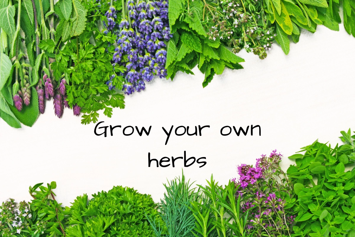 Indoor Herb Garden Ideas