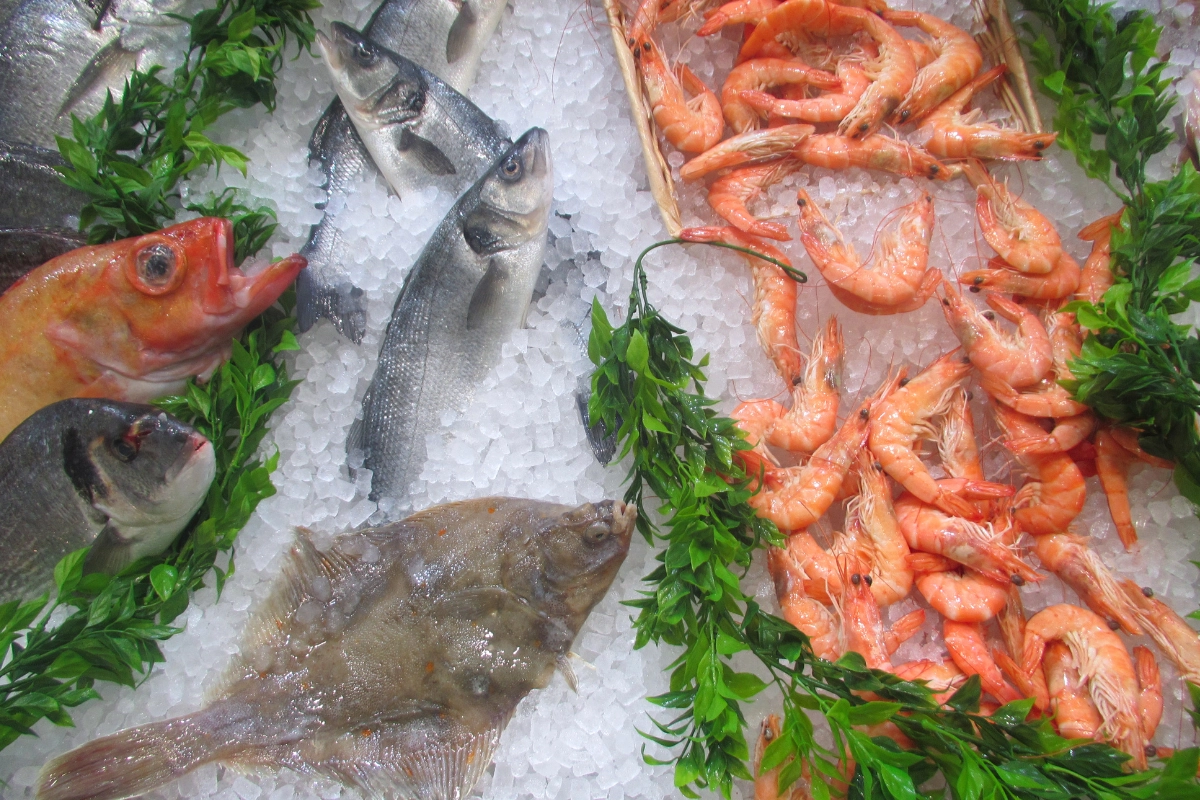 Omega 3 weight loss diet