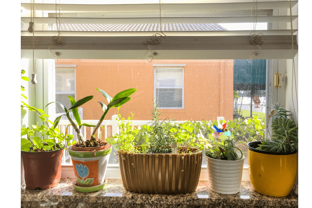 Indoor Herb Garden Ideas