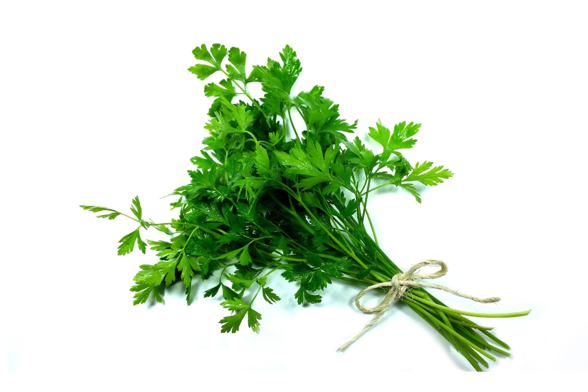 Indoor Herb Garden Ideas