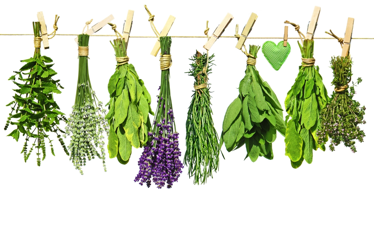 Indoor Herb Garden Ideas