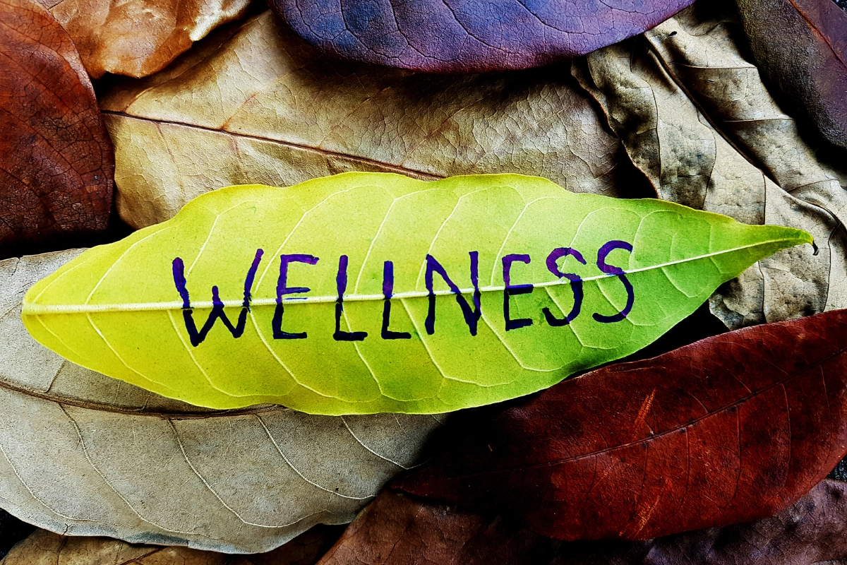 Wellness Lifestyle